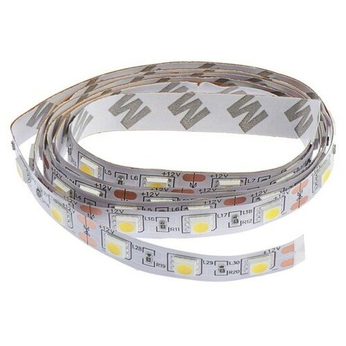   Ecola 1 , IP20, SMD5050, 60 LED/, 14.4 /, 12 , 4200 194