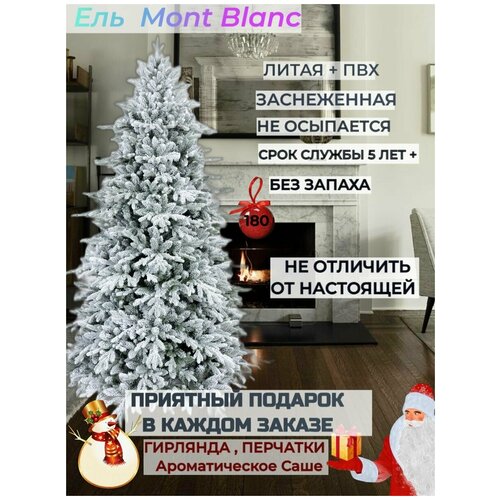 ���� ������������� ���������� ����������� 210 �� BINOSHE Mont Blanc/ ����� ���� + ��� � ��������� � ��������� 32900�