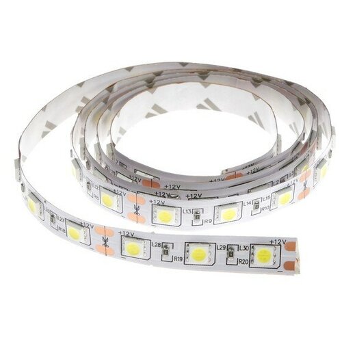   Ecola 1 , IP20, SMD5050, 60 LED/, 14.4 /, 12 , 6000 332