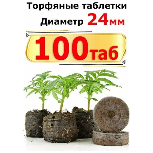 �������� �������� Jiffy 24�� (100 ����) 1160�