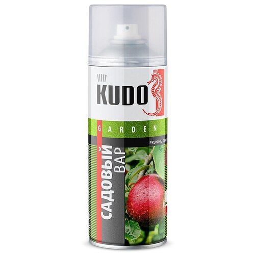   Kudo KU-G101, 520  387