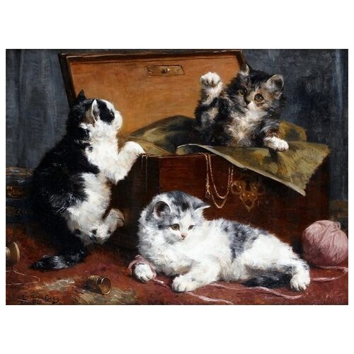     (Kittens) 3   67. x 50. 2470