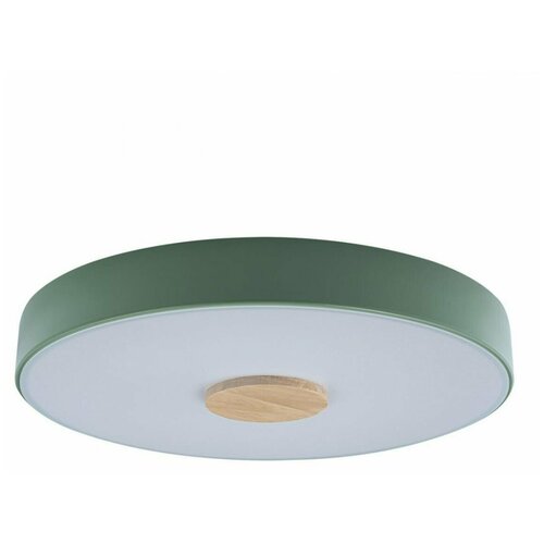    Loft IT Axel 10003/24 green 5540