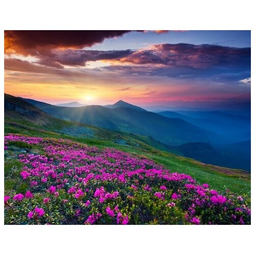         (Flowers in the mountains at sunset) 4 51. x 40. 1750