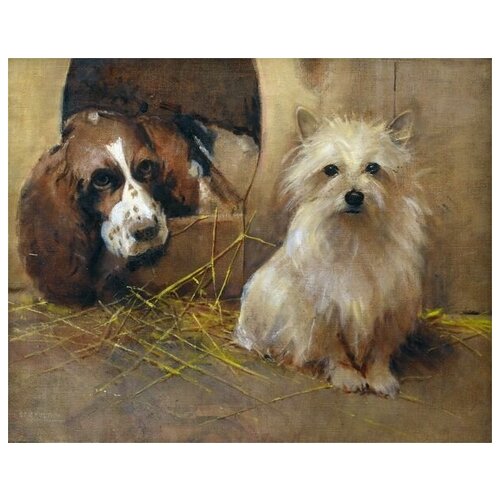        (A Spaniel and a Cairn Terrier)   38. x 30. 1200