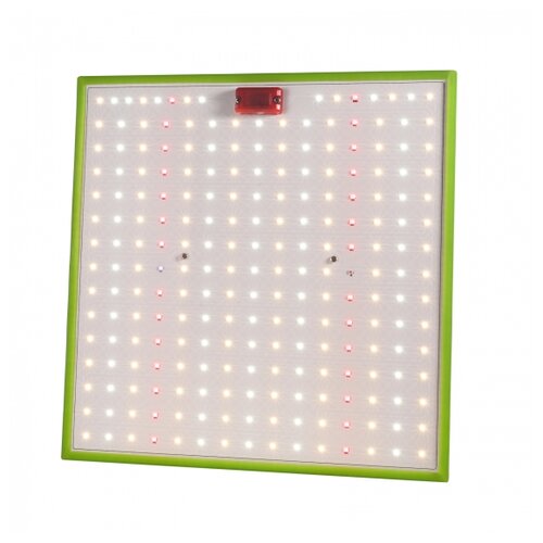   FITO-80W-LED-QB Quantum board   80  3500, 1727990 5018