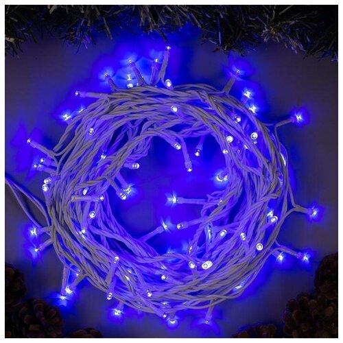 �������� ������ 10 �, IP44, ����� ����, 100 LED, �������� �����, 8 �������, 220 � 893�