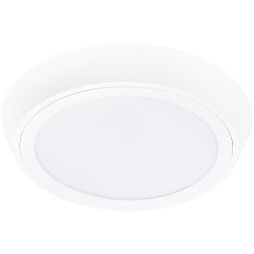 ������� ���������� Lightstar 216902 3840�