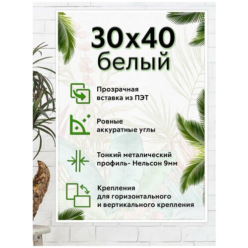 ��������� 30�40 �� ������� �����������, �����, ��� ������, ��������, ������, ��� ���� � ����� 595�