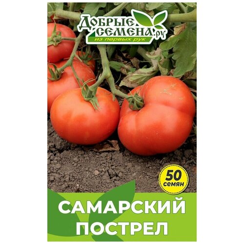 Семена томата Самарский Пострел - 50 шт - Добрые Семена.ру 378р