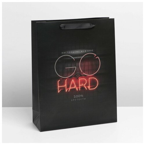 ����� �������������� ������������ �Go hard�, L 31 ? 40 ? 11,5 �� 330�