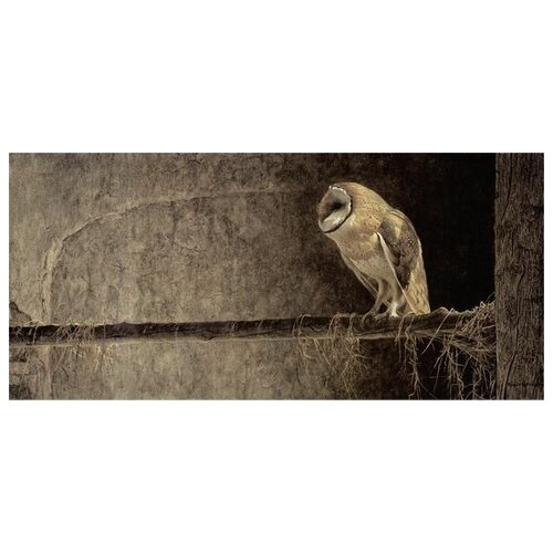      (Owl) 2 87. x 40.,  2620   