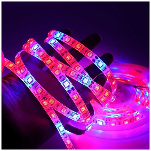 ��������� ��� �������� SMD 5050, 60 ������/����, 12 �, 3 ������� +1 �����, IP65 5�. 3200�