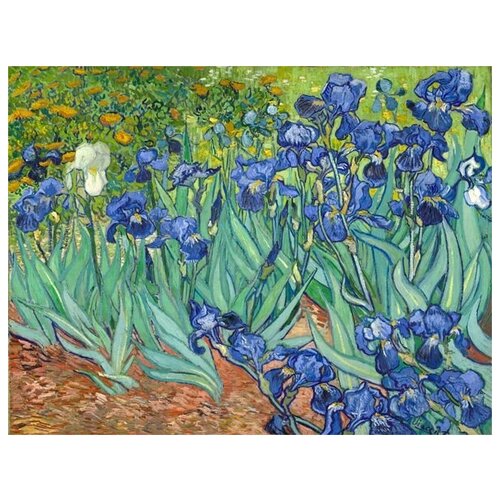     (Irises) 1    52. x 40. 1760