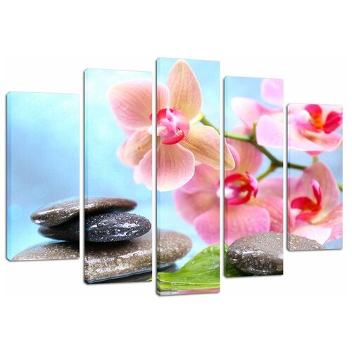 ��������� ������� Decorshop 10 ������� ������� 80*125 �� 1790�