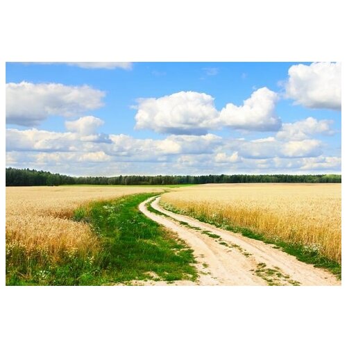       (Road in a field) 1 60. x 40. 1950