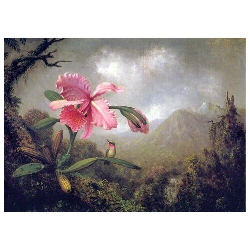        (Orchids and Hummingbird) 7    56. x 40.,  1870   