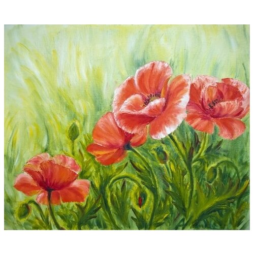      (Poppy) 2 60. x 50.,  2260   