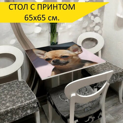���� 