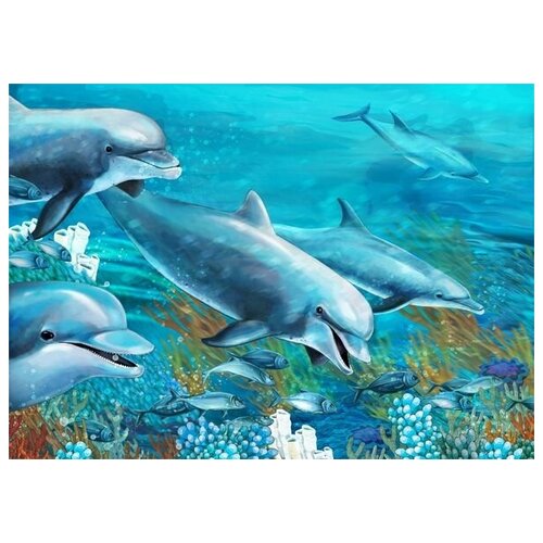     (Dolphins) 6 70. x 50. 2540
