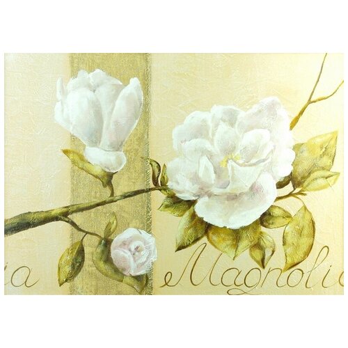     (Magnolia) 1 70. x 50. 2540