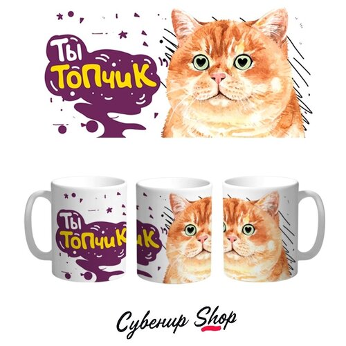 ������ �������Shop �������� 
