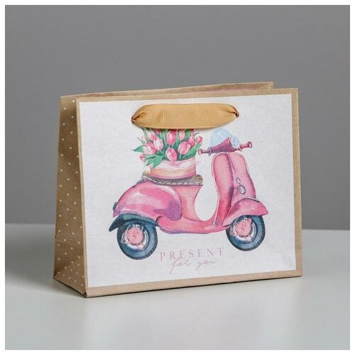 ����� ��������� �������������� �Present for you�, 15 � 12 � 5,5 �� 70�
