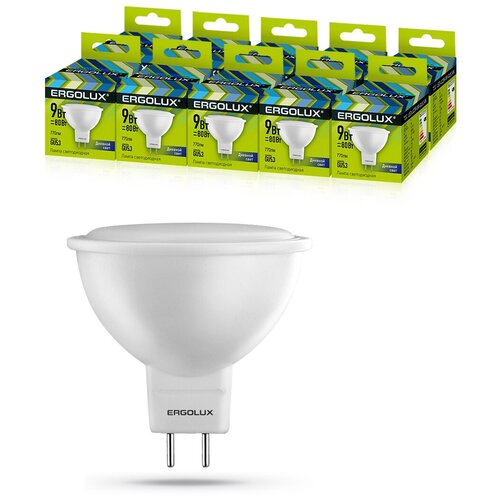   10   Ergolux LED 9W 6500 GU5.3 1019