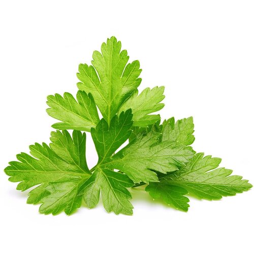 �������� ���������� Click And Grow Cilantro/Coriander Plant Pods 3 ��. ��� ������ ���� Click And Grow ����� ����� 1988�