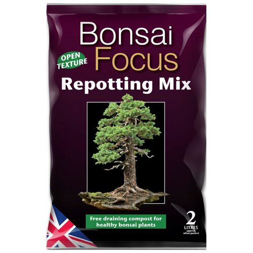  Bonsai Focus Mix 2  1250