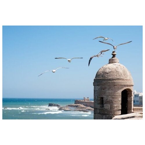       (Seagulls at coast) 60. x 40. 1950
