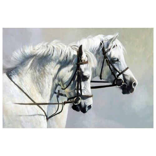     (Horses) 4 60. x 40. 1950