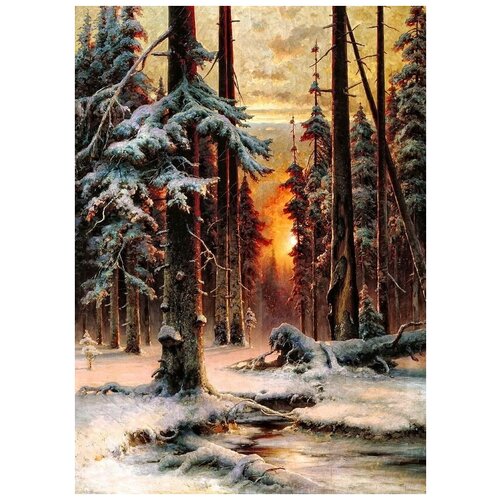         (Winter sunset in a spruce forest)   50. x 70. 2540