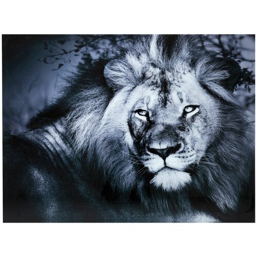 KARE Design  Lion King,  