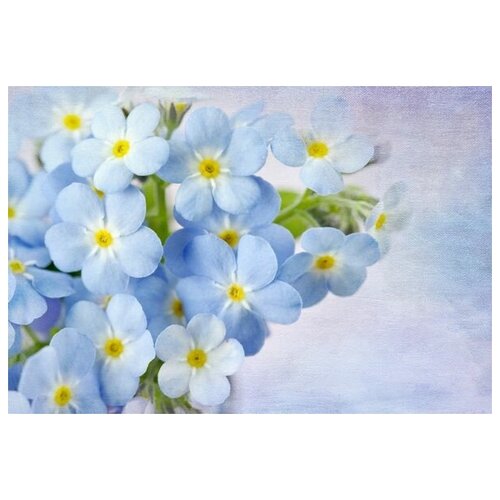 ������ �� ������ ����� (Flowers) �66 74��. x 50��. 2650�