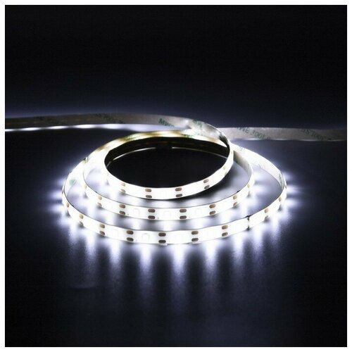     , SMD2835, 2 , IP65, 60 LED/, x4,  7892713 633