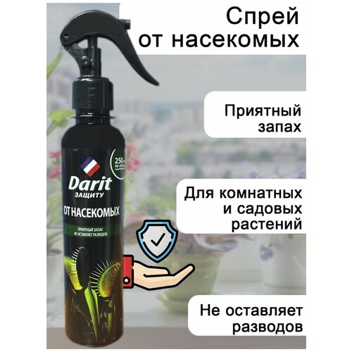 ����� ��� ��������� �������� 250 �� 440�