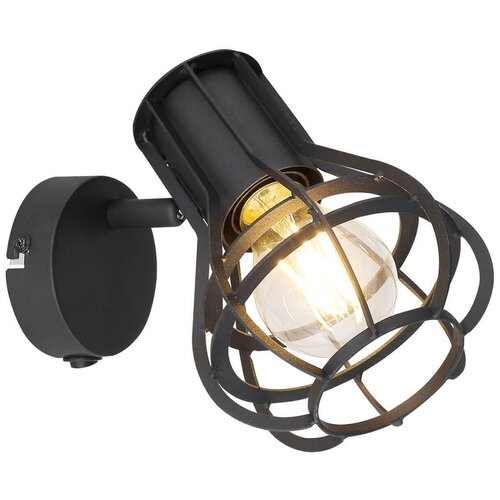 ���� Globo Clastra 15388-1 6008�