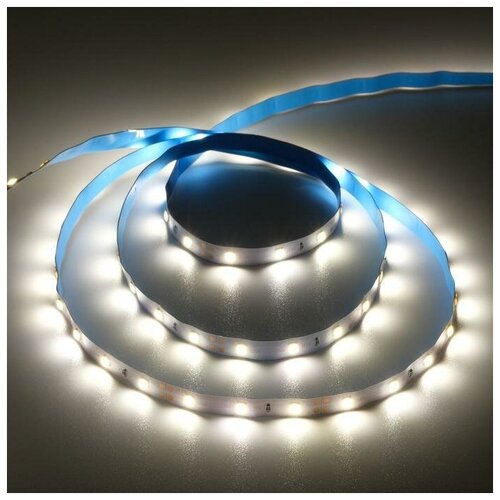   PRO 5 , IP20, SMD3528, 60 LED/, 4.8 /, 12 , 4200 569