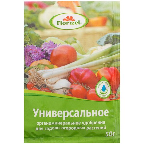 ��������� Florizel ��� ������� �������� ������������� 0.05 �� 223�