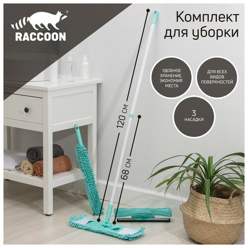 �������� ��� ������ Raccoon ��������������, 4 ��������: ���������, ������, ����� ��� ���� � ������� 2209�