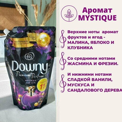 ����������� ��� ����� ��������������� MYSTIQUE �� DOWNY, 1000�� 1796�