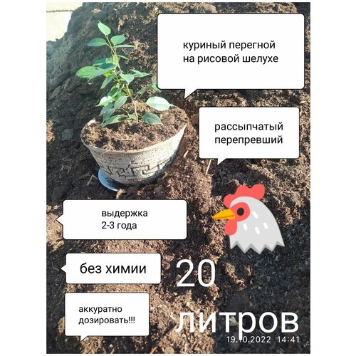 ������� �������� ����� 20 610�