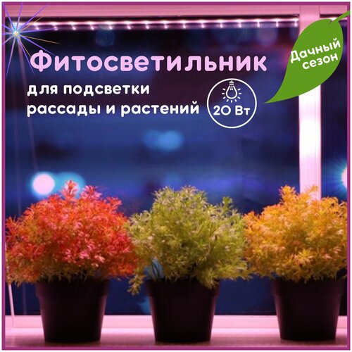 �������������� ��������, ����� ��� �������, ��� ��������, ��������� 20�� 1170�� ������������ IN HOME LED ��������� ��� �������� 990�