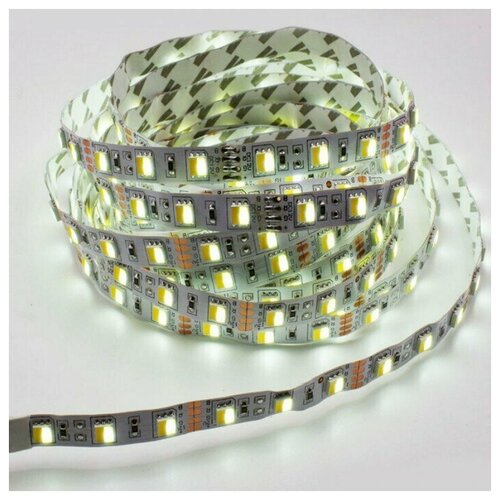    SMD 5025, 60 /, Double line , 12 , : + , IP33,  3300  CLEVERLIGHT