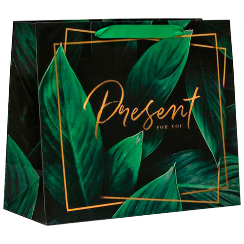 ������ ������� ����� �������������� �������������� �Present for you�, ML 27 ? 23 ? 11,5 �� 518�