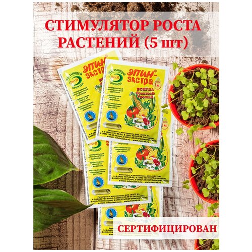 ���� ��� ��������, ��������� �����, ����������, ��������� ����������� �����������������. ��� ��������� ��������, ������ � �������. ���������� ����� ����-������ 339�