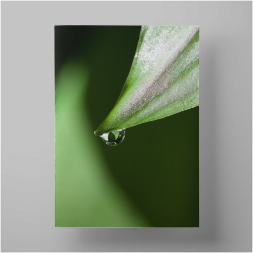    , Nature and plants 5070 ,     1200