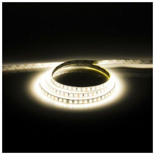   TruEnergy, 12, Smd2835, 5 , Ip20, 9.6 /, 120 LED/, 6000K TruEnergy 9803200 823