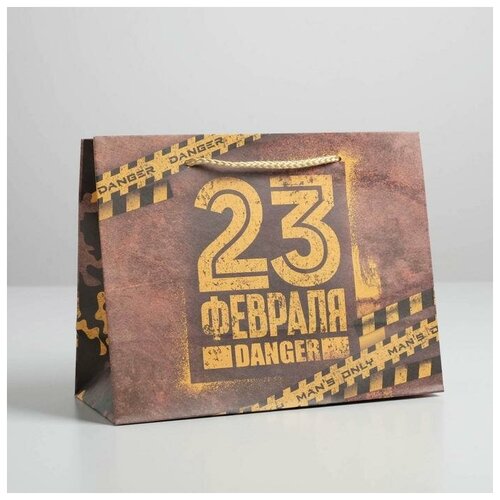 ����� ��������� �������������� �Danger�, MS 23 ? 18 ? 10 �� 137�